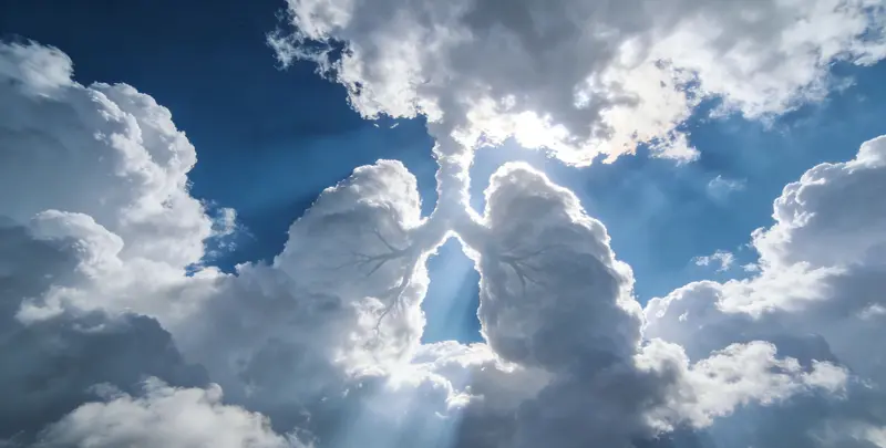 邯郸肺癌（EGFR T790M)突变检测图片1