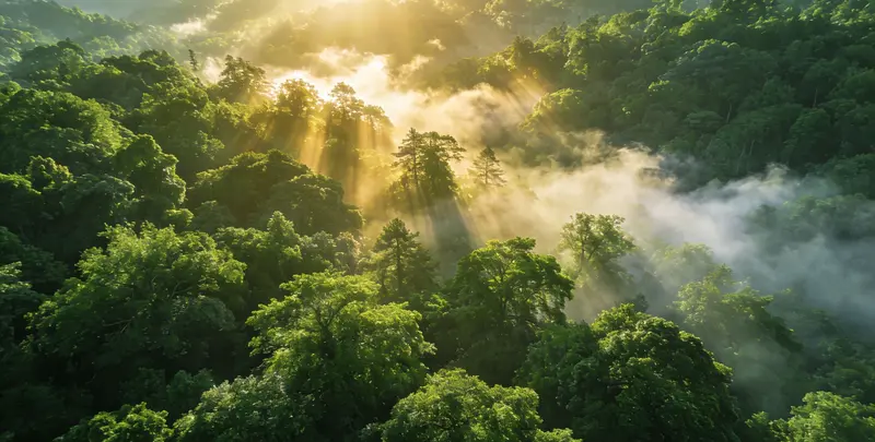 邯郸肺癌13基因突变检测（组织）图片1