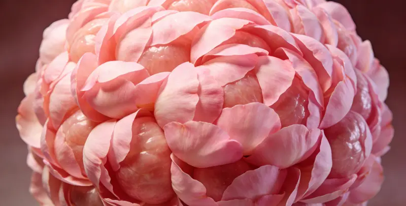 邯郸BRCA1/2乳腺癌卵巢癌基因检测图片1